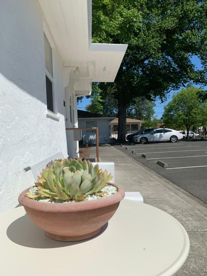 Carlin's Court Calistoga